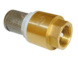 Клапан обратный 1/2 с сеткой AQualink